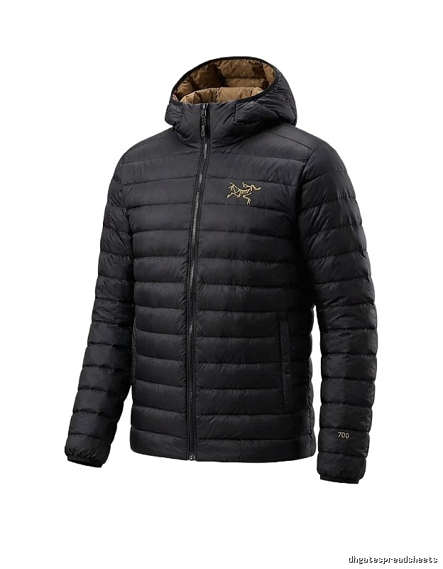 Arc'teryx lightweight trendy black down jacket