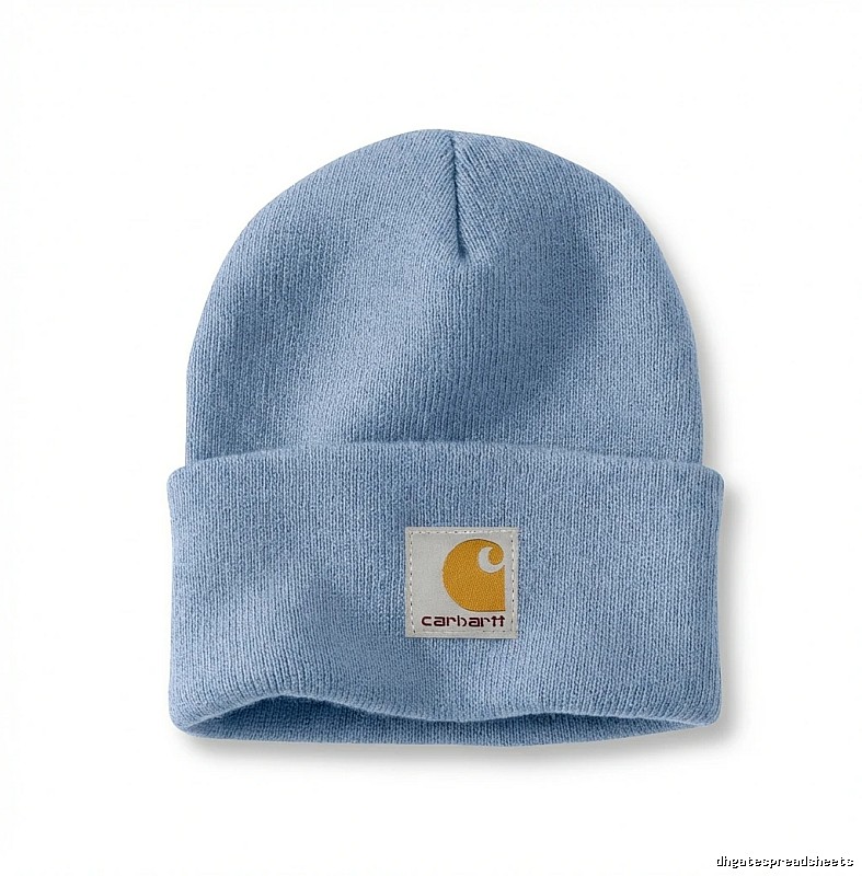 Carhartt simple style light blue cold cap
